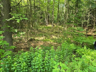 217 Winsor Dr, White River Junction, VT 05001