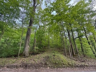 1445 E Branch Rd, Union Township, OH 43758