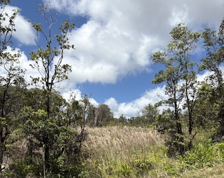 18-4165 Haumalu St, Mountain View, HI 96771