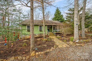 46 Walker Town Rd, Black Mountain, NC 28711
