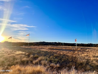 3 Cedar Ln, Concho, AZ 85924