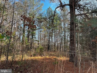 0B Mckenney Dr, Woodford, VA 22580