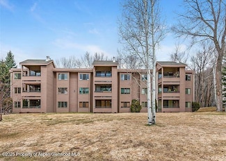 313 Vine St Unit 313, Aspen, CO 81611