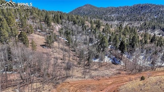 513 Last Dollar Dr, Cripple Creek, CO 80813