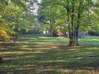 22677 Rosella Dr, Pierson, MI 49339