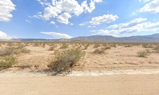 0 Old Woman Springs Rd Unit IV23051824, Johnson Valley, CA 92285