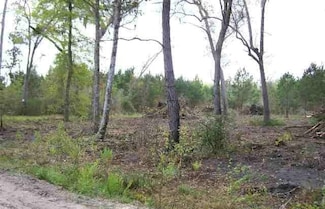 0 Vista Rd, Monticello, FL 32344