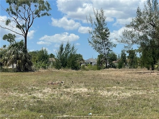 3802 NE 17th Ave, Cape Coral, FL 33909