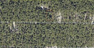LOT 43 W Black Cherry Dr, Defuniak Springs, FL 32433