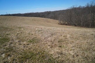 Tract #5 Stone Ln, Sadieville, KY 40370