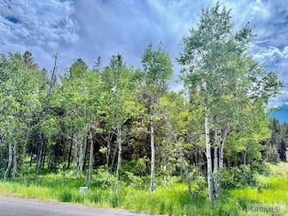 4498 Stone Run, Island Park, ID 83429