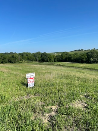 52970 Dew Berry Ln, Silver City, IA 51517