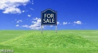 209 E Mc Gaffney Ave, Lowellville, OH 44436