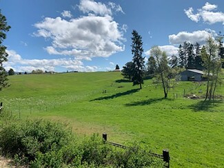 18000 N Day Mount Spokane Rd, Mead, WA 99021