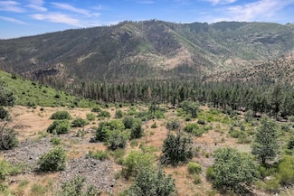 7150 Diamond Mountain Rd, Taylorsville, CA 95983