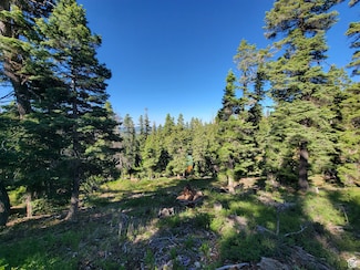 6220 W Brook Ln, Duck Creek, UT 84762