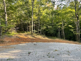 0 Thompson Tr Unit 1209854, Winfield, TN 37892