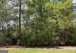 0 Charleston Way Unit 10565325, St. Marys, GA 31558