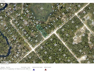 00 Karagan Ct, Ridge Manor, FL 33597