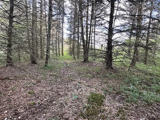 Vl Lot Unit 7 McAndrews Road Lot, Andover, NY 14806