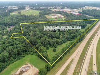 28.5+/- NW Loop 436 Unit COTTAGE RD/HWY 149, Carthage, TX 75633