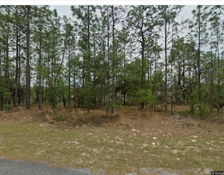 1910 W Linden Dr, Citrus Springs, FL 34434