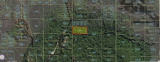0 Holopaw Groves Rd Unit MFRO6241762, Saint Cloud, FL 34773