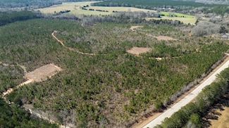 0 (Lot 3A) State Route 18, Pine Mountain, GA 31822
