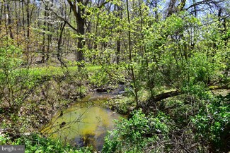 Lot 11 Smokey Shire, Cross Junction, VA 22625