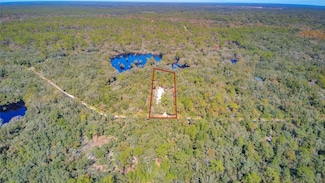 33431 Tombstone St, Webster, FL 33597