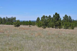 Lot 1 Stagecoach Springs Rd, Pringle, SD 57773