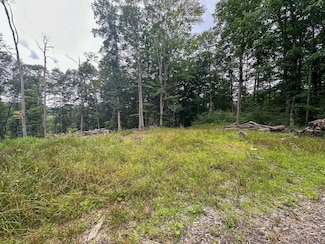 00 State Rd 18, Nettie, WV 26681