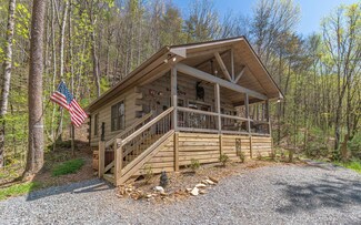 244 Pink Pig Ln, Cherry Log, GA 30522