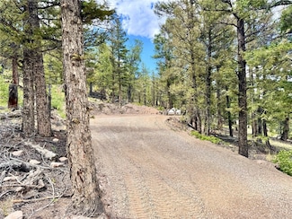 2843 Redhill Rd, Fairplay, CO 80440