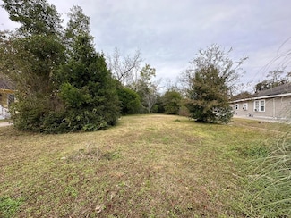 206 Oak St, Brundidge, AL 36010