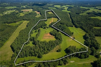 1135 Daisy Creek Farm Rd, Westfield, NC 27053