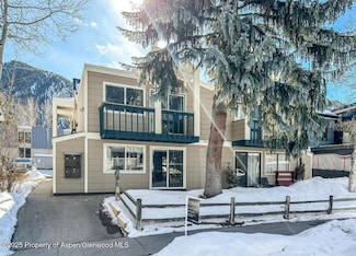 915 E Hopkins Ave Unit 4, Aspen, CO 81611