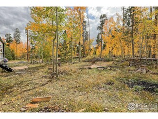 131 Chippewa Way, Red Feather Lakes, CO 80545