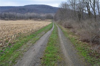 0 Nys Route 98 Unit B1113876, Great Valley, NY 14741