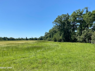 00 Bevis Rd, Malone, FL 32445