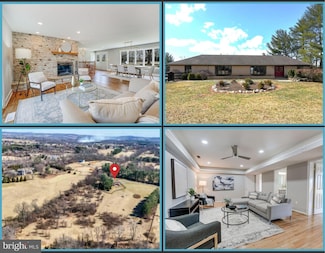 38572 Pheasant Hill Ln, Hamilton, VA 20158