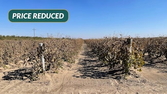 0 S Madera Ave Unit E. of Rd. 30 1/2, Madera, CA 93637