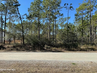100 Bridges Rd, Boiling Spring Lakes, NC 28461