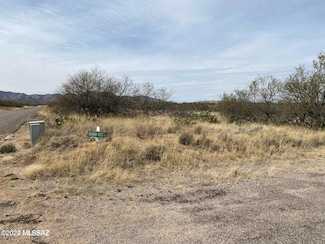 0 W Lost Silver Ln Unit 132A 22414874, Sahuarita, AZ 85629