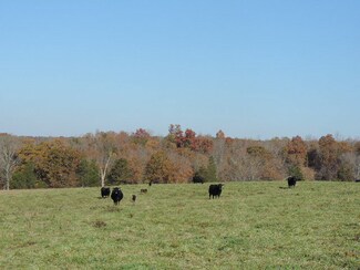 705 Maxeys Rd, Dillwyn, VA 23936