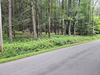 0 Hurd and Parks Rd, Kauneonga Lake, NY 12783