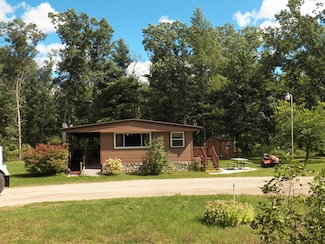 21161 Gates Rd, Howard City, MI 49329