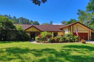606 Warren Rd, Lutz, FL 33548