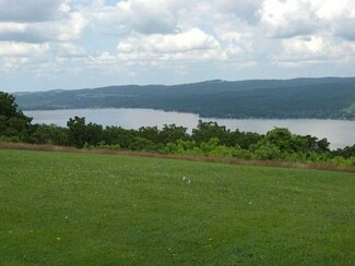 9007 Uthe Rd, Springwater, NY 14560