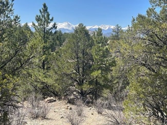 525 Black Cloud Cir, Cotopaxi, CO 81223